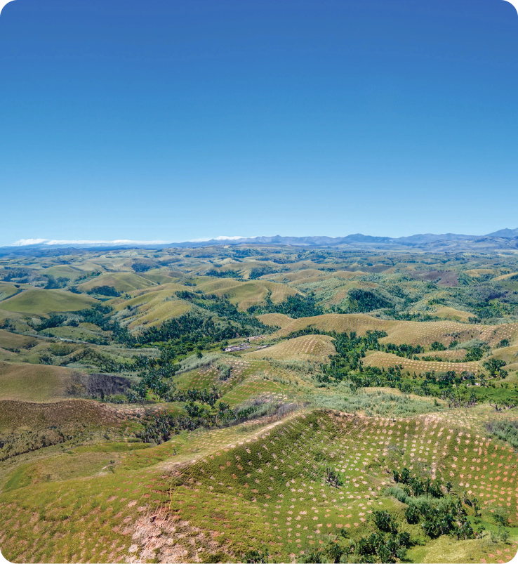Alterra Image